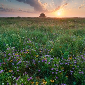 Home generator installation and servicing in Luther Oklahoma